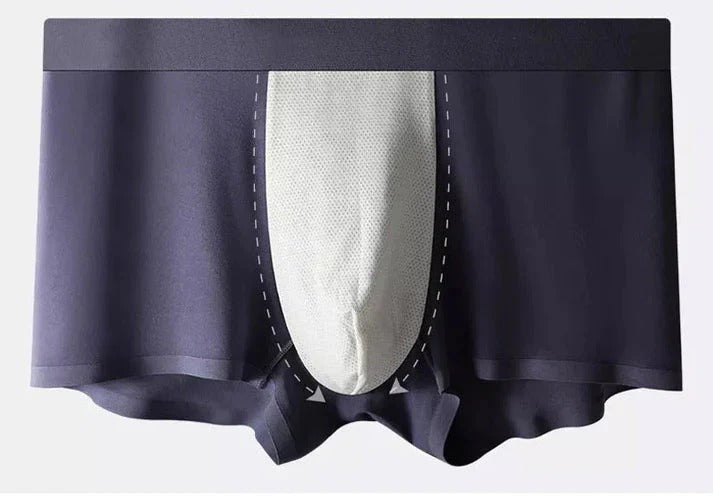 Men's Ice Silk Briefs Boxers - Buy 1 Get 2 Free @ Just Rs.599/-